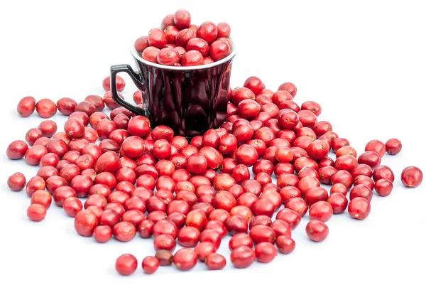 Coffee beans — Stock Photo, Image