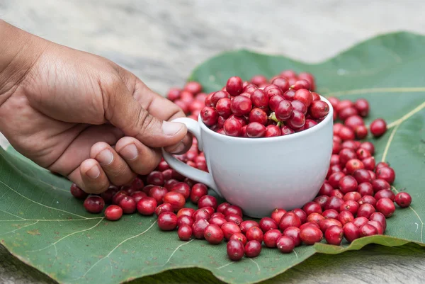 Berry Coffee — Stock Photo, Image