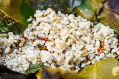 Kırmızı karınca yumurtaları