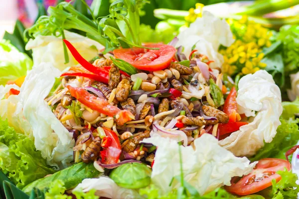 Zijde worm salade — Stockfoto