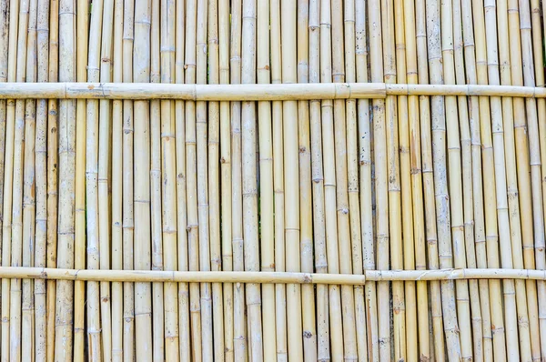 Fundo de bambu — Fotografia de Stock