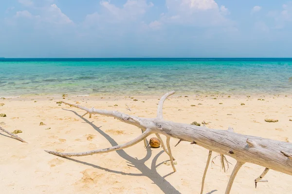 Beach in Krabi Thailand — Stock Photo, Image