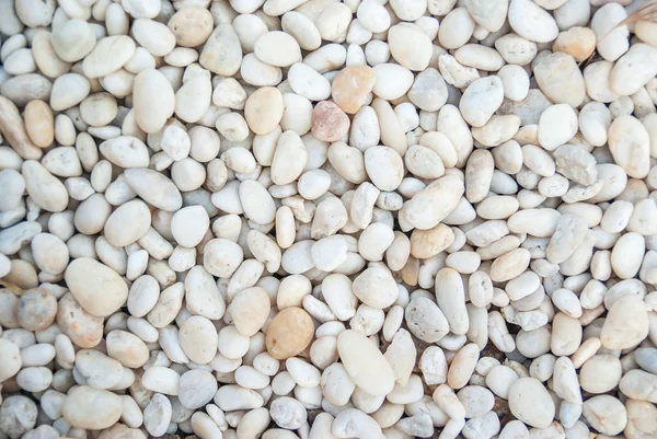 Çakıl taşı arka planı