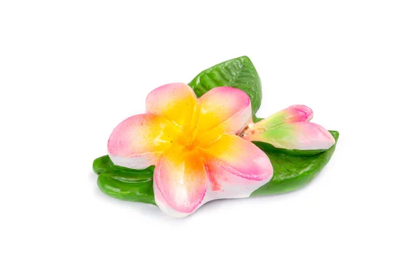 Artificial Plumeria flowers isolate — Stock Photo, Image