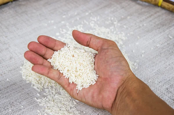 Nasi di tangan — Stok Foto