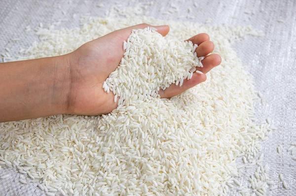 Arroz a la mano — Foto de Stock