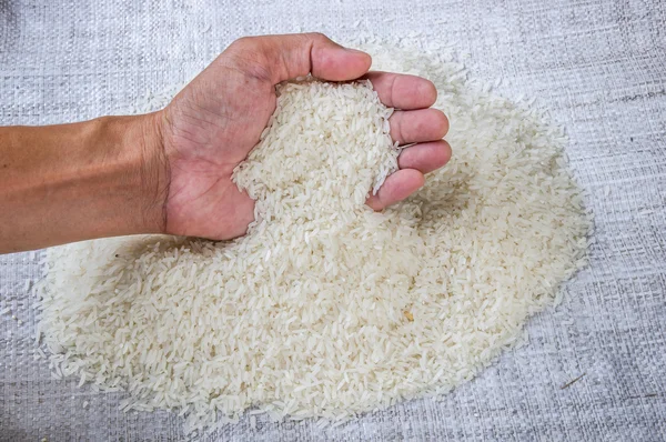 Arroz de jazmín tailandés — Foto de Stock