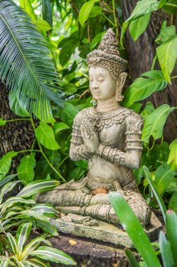 konsensüs görüntü