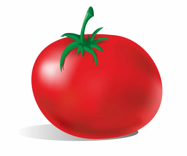 Tomate vectorial sobre blanco — Vector de stock