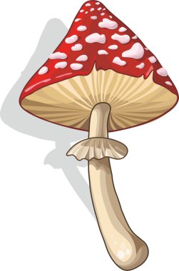 Amanita
