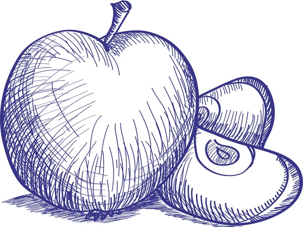 Boceto con manzana — Vector de stock