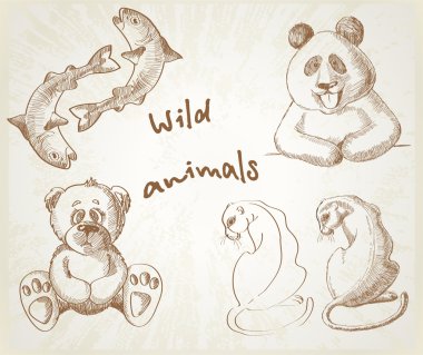 vahşi hayvanlar kroki