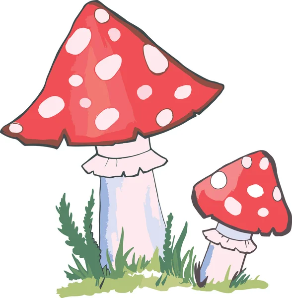 Amanita — Stock Vector