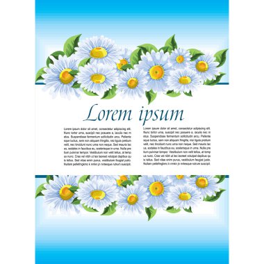 Mavi kartı papatyalar ve bir yer