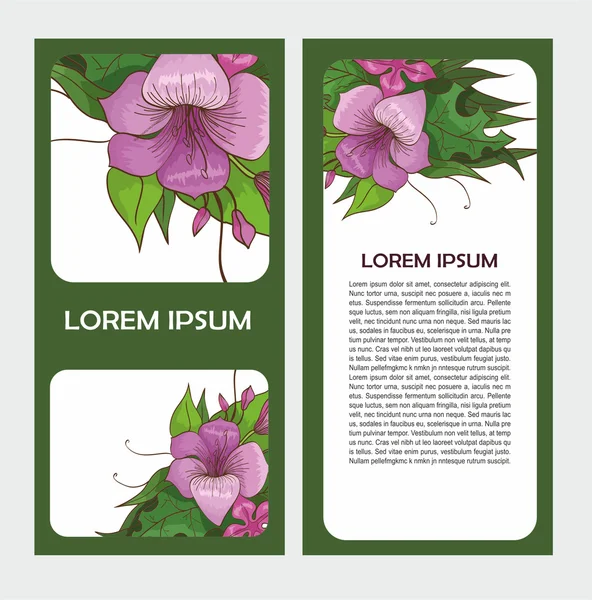 Conjunto de cartões com flores de lírio — Vetor de Stock