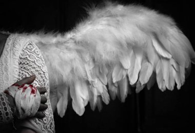 Siyah arkaplanda melek kanadı