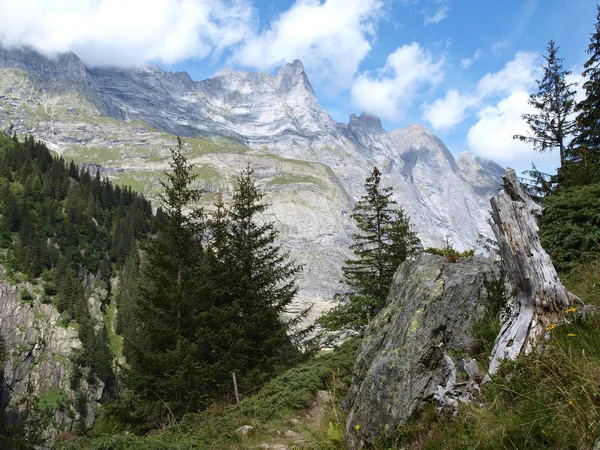 Alpine mountain — Stock Photo, Image