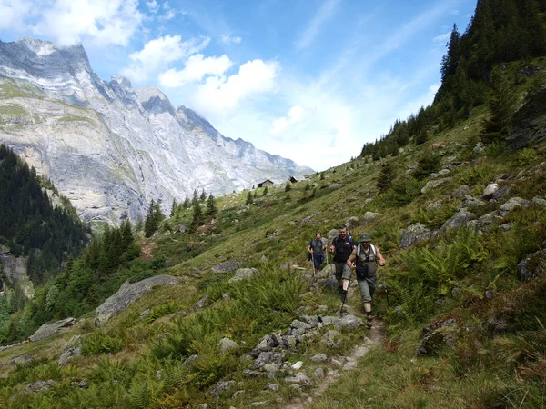 Hikers in alpine mountains — Stock Photo, Image