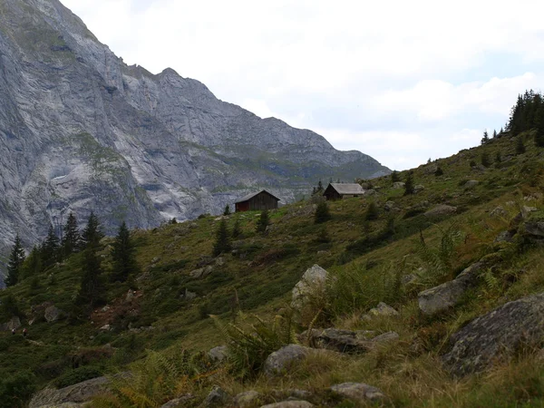 Montagna alpina. ghiacciaio dei gauli — Foto Stock