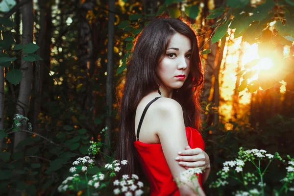 Mysterious girl in a morning forest Sunrise — Stock Photo, Image