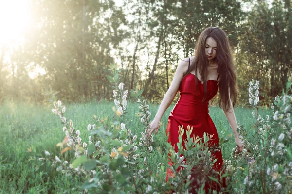 Chica en vestido rojo con flores esponjosas blancas —  Fotos de Stock