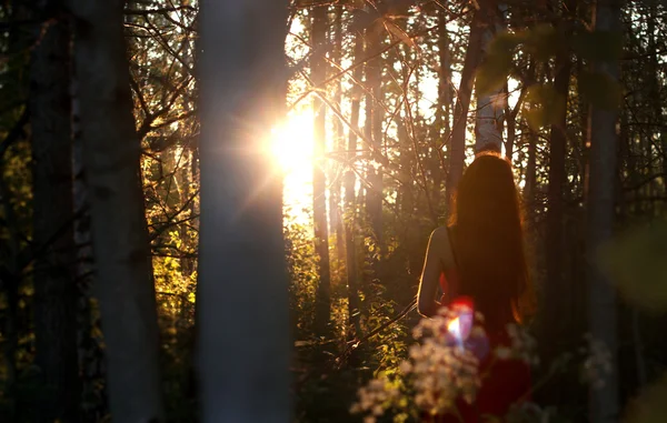 Beautiful girl watching sunrise sunset — Stock Photo, Image