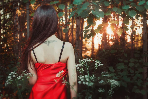 Back of a beautiful girl Sunset Sunrise — Stock Photo, Image