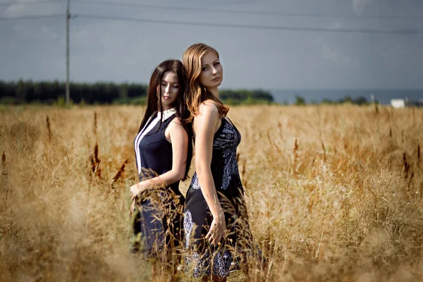 Two beautiful girls standing in cornfield — Stock Photo, Image