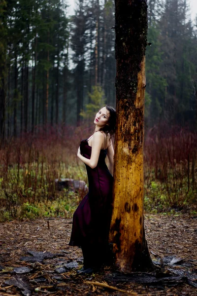 Pale woman in purple dress lying upon a tree — Stock Photo, Image