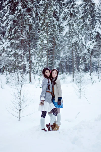 Mode vrouwen in warme truien op witte sneeuw bos achtergrond — Stockfoto