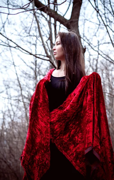 Femme en robe noire avec tissu rouge dans la forêt sombre froide — Photo