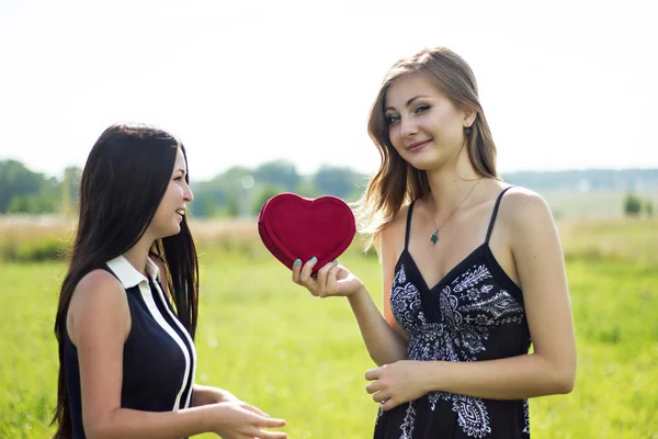 Two pretty women in love with red heart in sunshine summer field — Stock Photo, Image