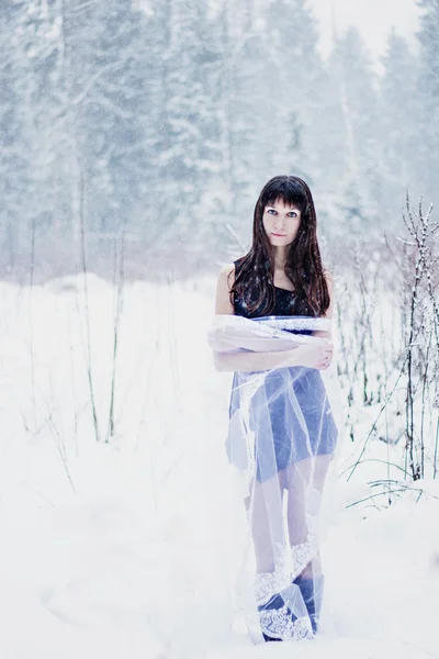 Mooie bruid onder sluier op witte sneeuw achtergrond — Stockfoto