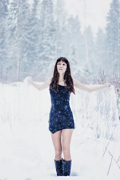在洁白的雪地背景上的面纱下的美丽的新娘 — 图库照片