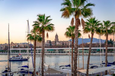 Malaga, İspanya - 26 Aralık 2014: Ön planda palmiye ağaçları ve arka planda katedral bulunan Malaga limanının görüntüsü.