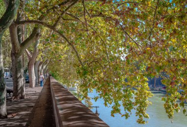 Roma, İtalya - 13 Eylül 2014: Lungotevere dei Sangallo, Tiber nehri boyunca uzanan ve sonbaharda ağaçların yemyeşil olduğu bir yürüyüş yolu..