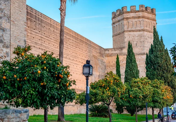 Jerez Frontera Ισπανία Δεκεμβρίου 2014 Οκταγωνικός Πύργος Και Τείχη Του — Φωτογραφία Αρχείου