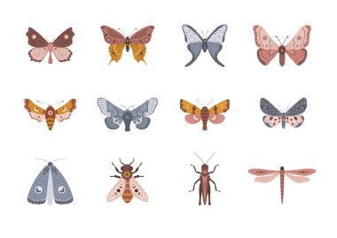 Kelebek koleksiyonu bohem tarzında. Sevimli el güvesi, yusufçuk, arı ve çekirge. İzole boğa çocukları tırmanıyor. Eski göksel tasarım. Halk vektörü illüstrasyonu