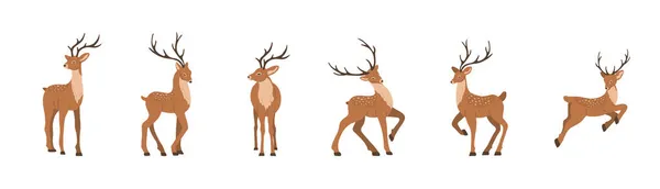 Cute noble sika deer. Set of reindeers with antlers in different poses isolated on white background. Ruminant mammal animal. Vector illustration in flat cartoon style — Stock Vector