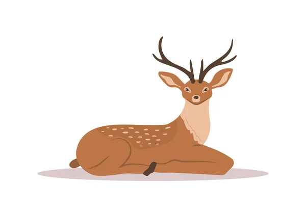 Cerf sika noble stylisé. Renne couché avec des bois sur fond blanc. Mammifère ruminant. Illustration vectorielle en style dessin animé plat — Image vectorielle