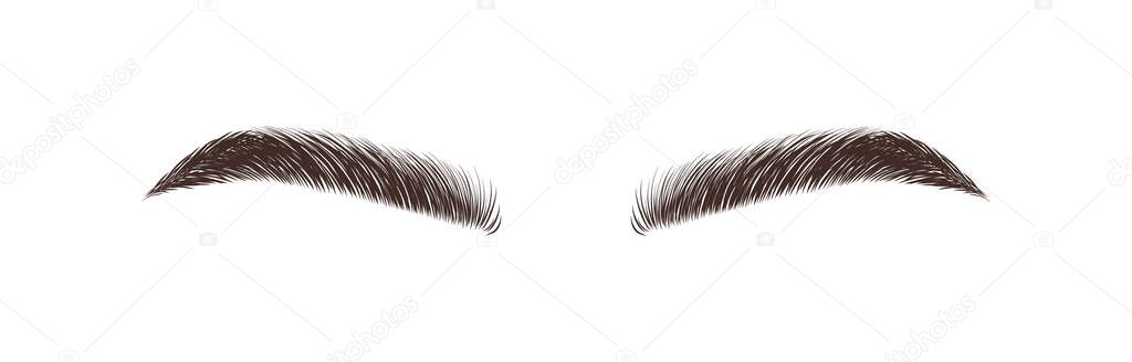 Realistic eyebrows on white background. Permanent make-up and microblading. Brow studio logo. Linear vector Illustration in trendy minimalist style.