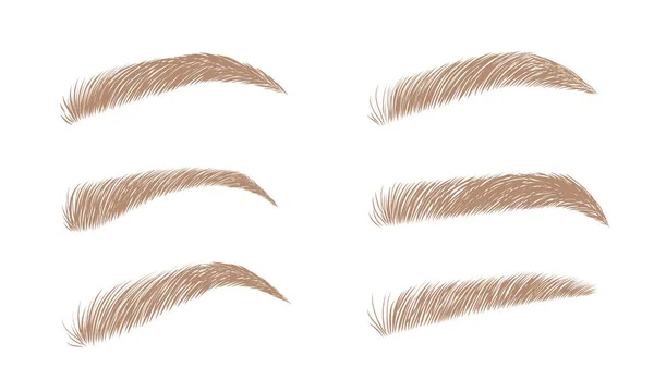 Set van blonde wenkbrauwen in verschillende vormen. Lineaire vector Illustratie in trendy minimalistische stijl. Brow bar logo — Stockvector