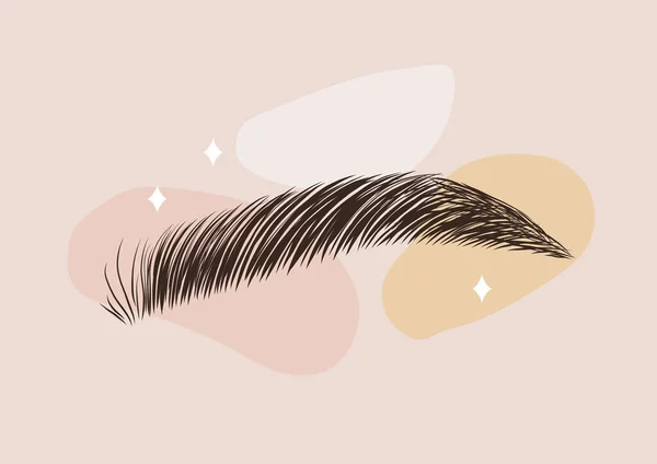 Brow stüdyo logosu. Samur kaşlı. Kalıcı makyaj ve kaplama. Eğilimli minimalist stilde doğrusal vektör illüstrasyonu