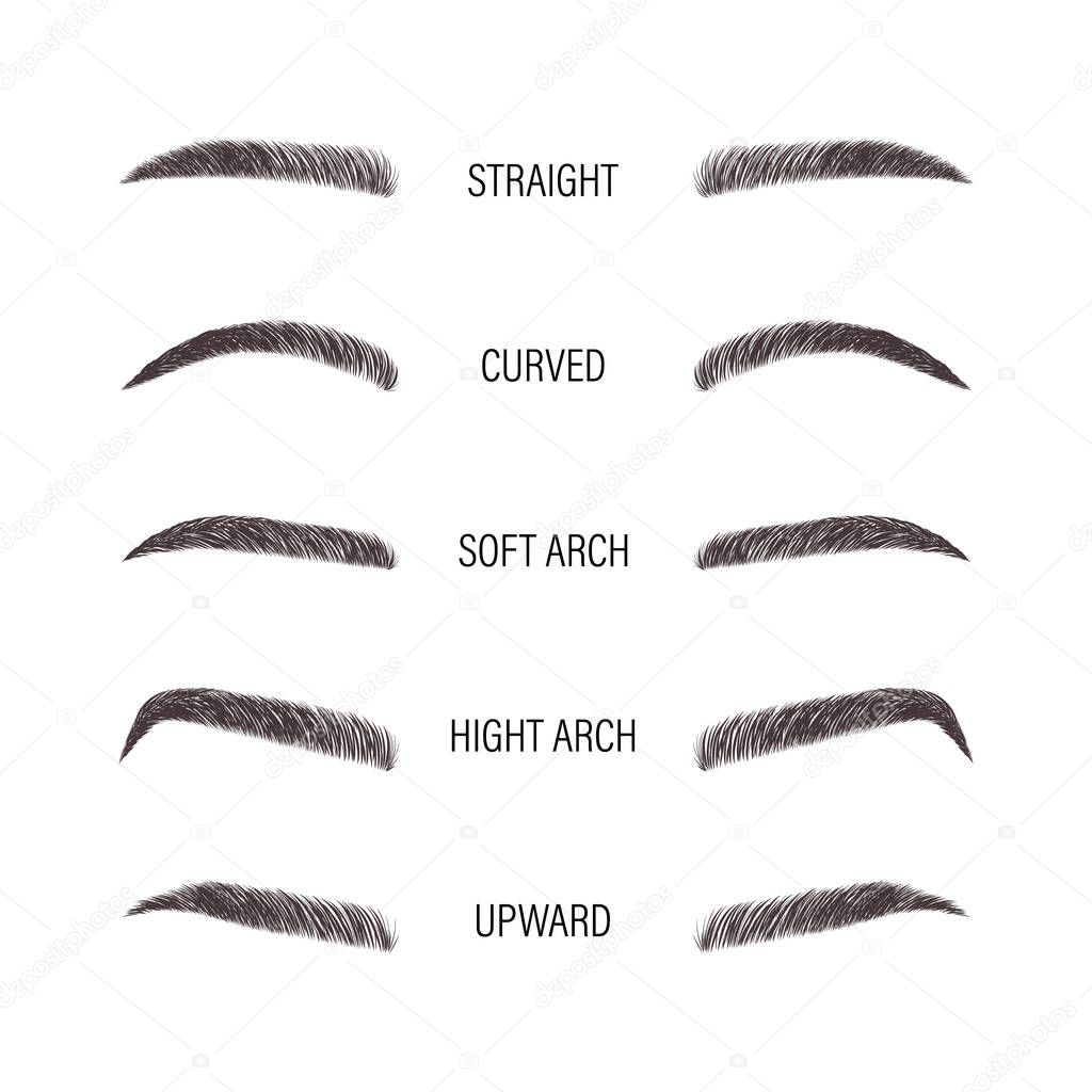 Female eyebrows. Various forms and types. Arch brows shapes. Linear vector Illustration in trendy minimalist style. Brow bar logo.