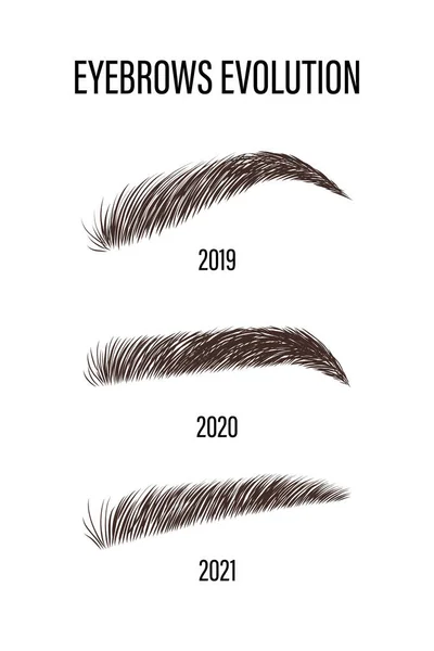 女性眉毛的进化。可想而知的眉毛形状线性向量图解在流行的简约风格。Brow酒吧标志 — 图库矢量图片