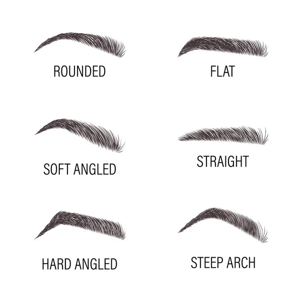 女性眉毛。各种形式和类型。弓形眉毛形状。线性向量图解在流行的简约风格。Brow酒吧标志 图库矢量图片