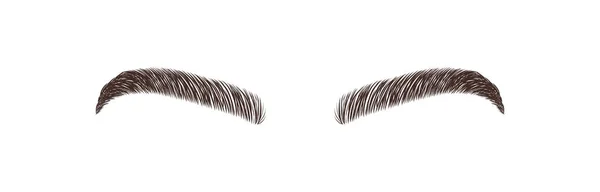 エレガントな女性の眉毛の形。マスターロゴを参照。永久的なメイクアップとマイクロブレード。線形ベクトルのイラスト｜ミニマルスタイル — ストックベクタ