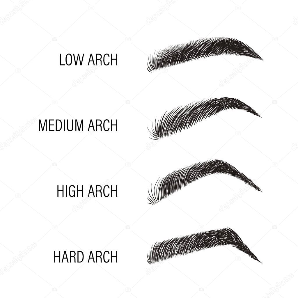 Female eyebrows. Various forms and types. Arch brows shapes. Linear vector Illustration in trendy minimalist style. Brow bar logo.