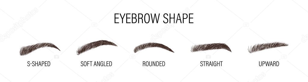 Female eyebrows. Various forms and types. Arch brows shapes. Linear vector Illustration in trendy minimalist style. Brow bar logo.