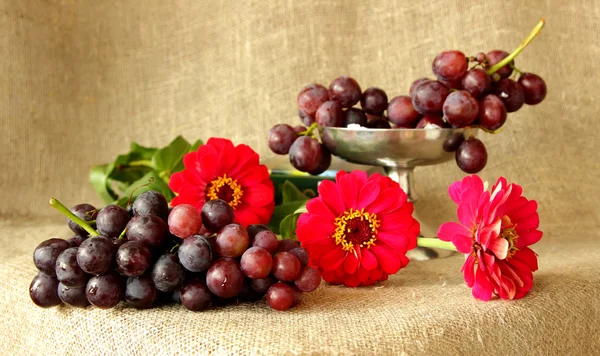 Bunch of ripe grapes on a background of bright colors — Stock Photo, Image